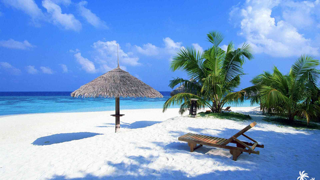 Vitamin SEA !