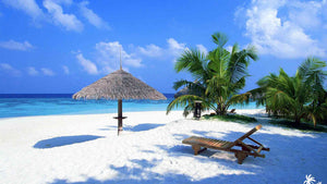 Vitamin SEA !